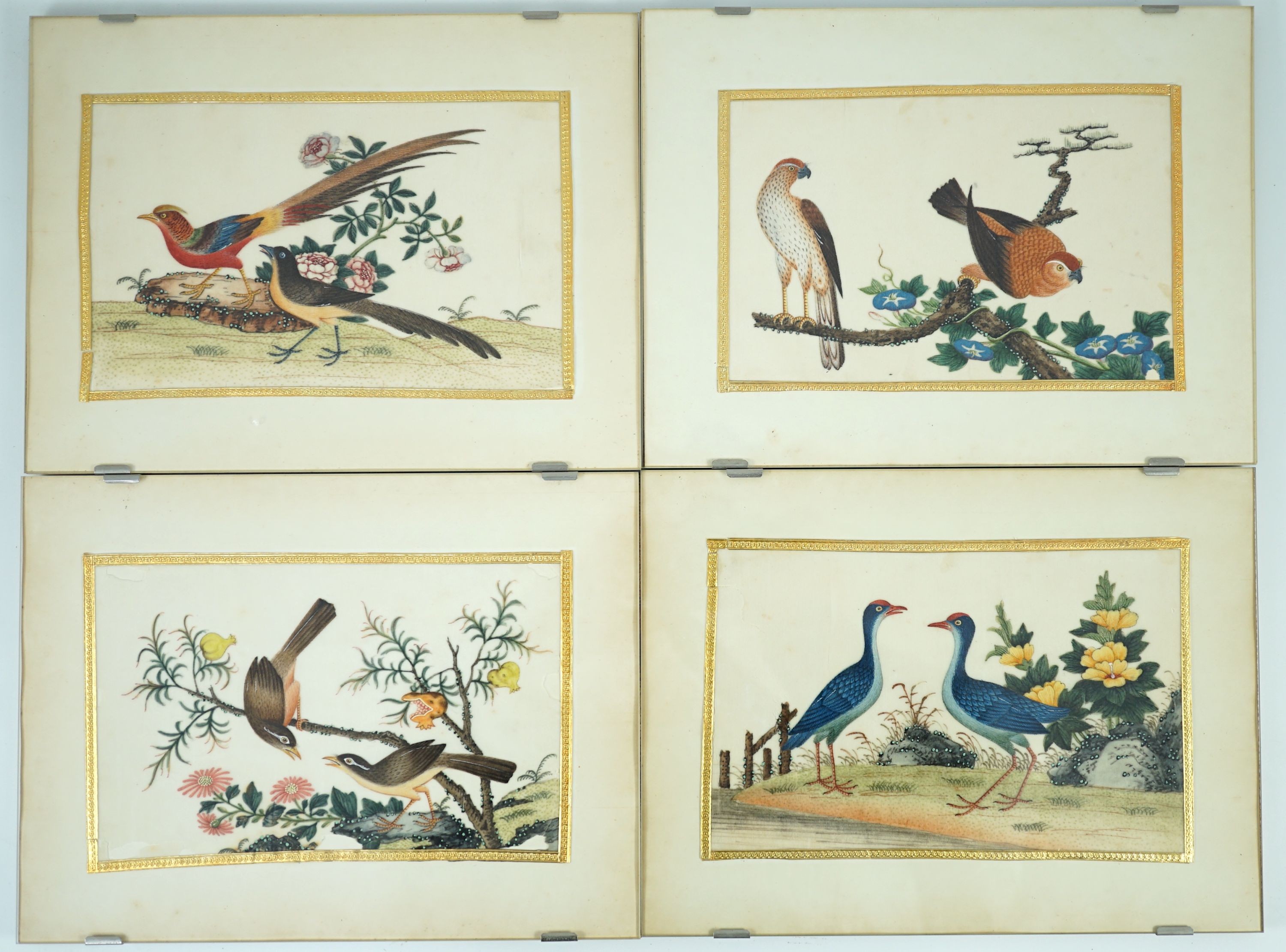 A set of 16 Chinese pith paintings of birds and flowers, mid 19th century, Largest Image 12cm x 18cm